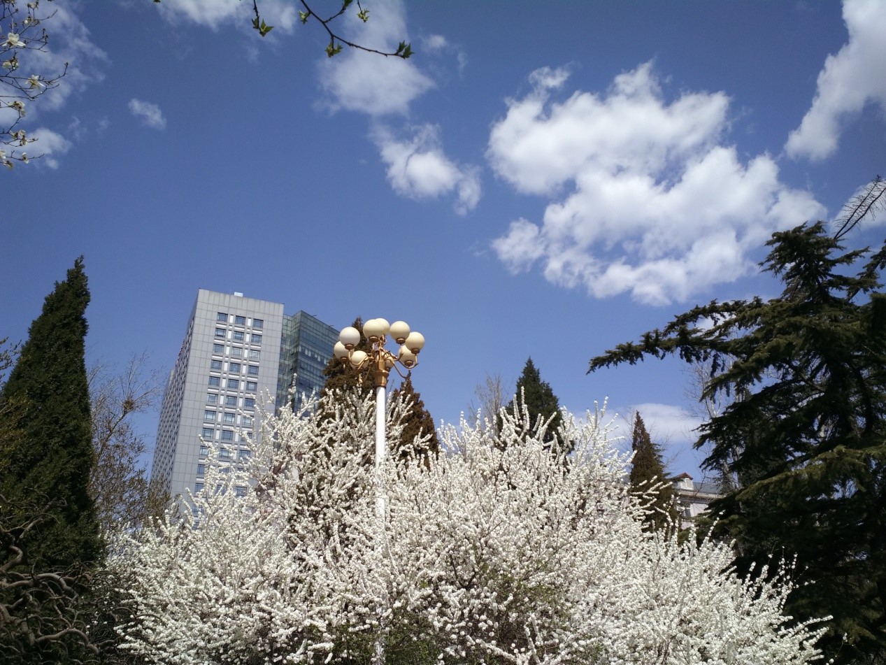 1625221378973106.jpg 11.jpg