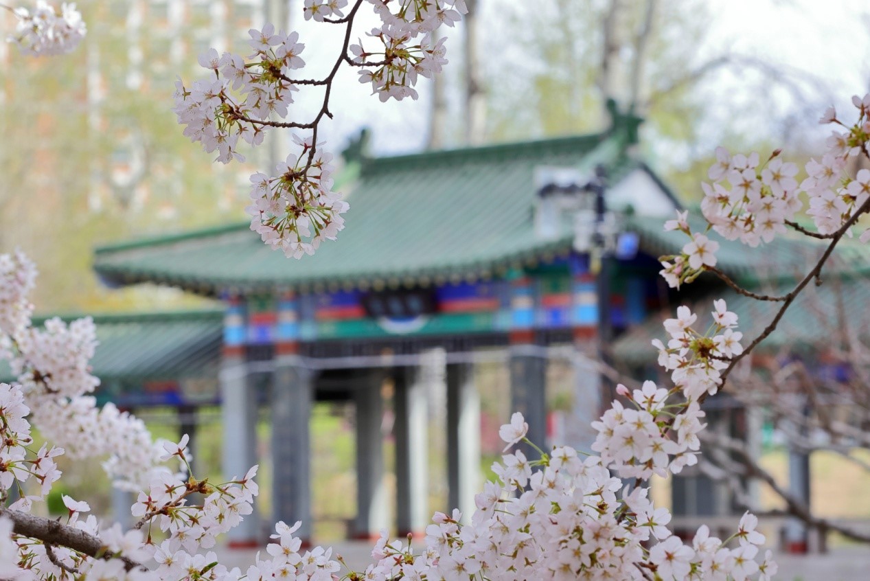 1625214642895963.jpg 4.jpg