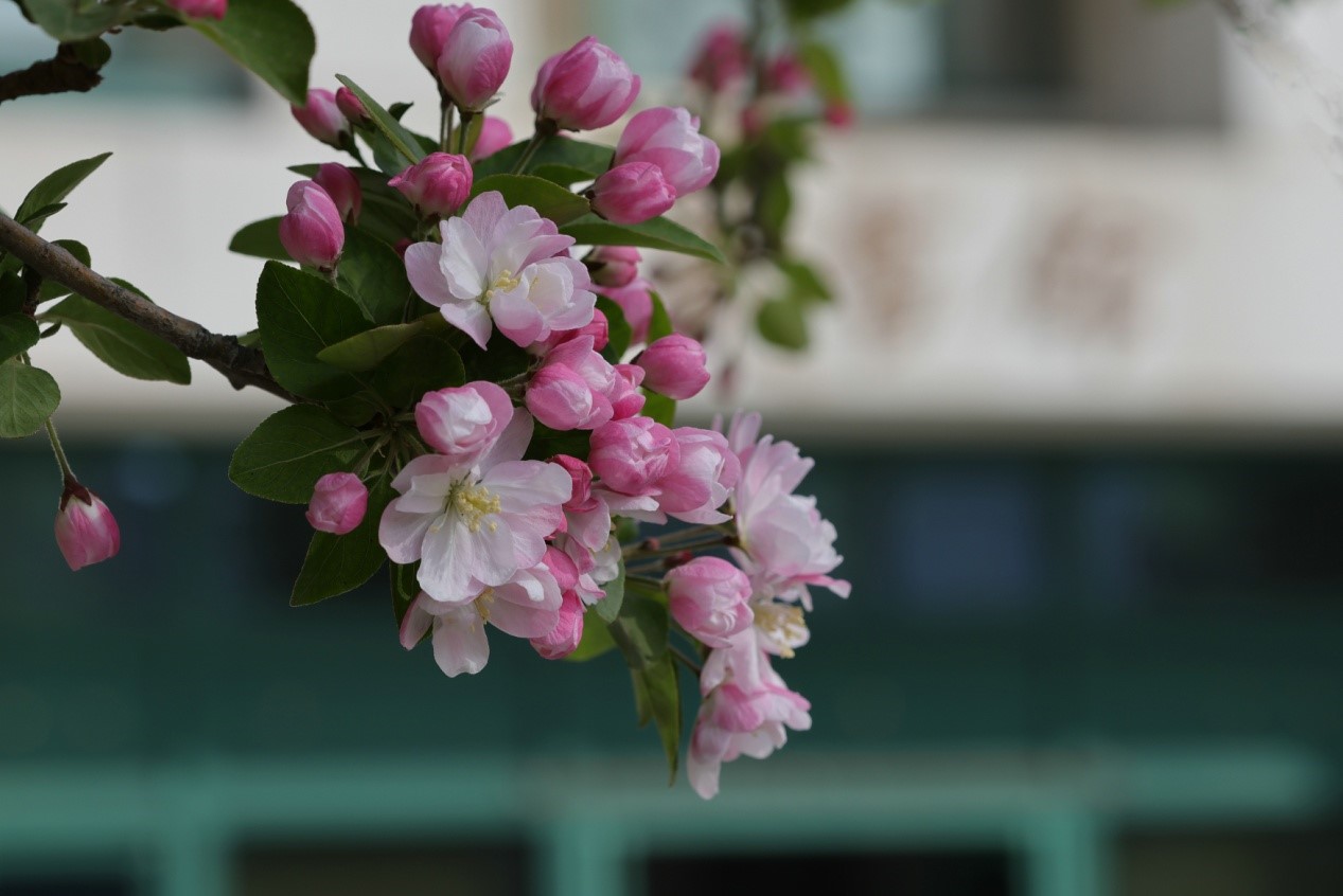 1625214367718254.jpg 2.jpg