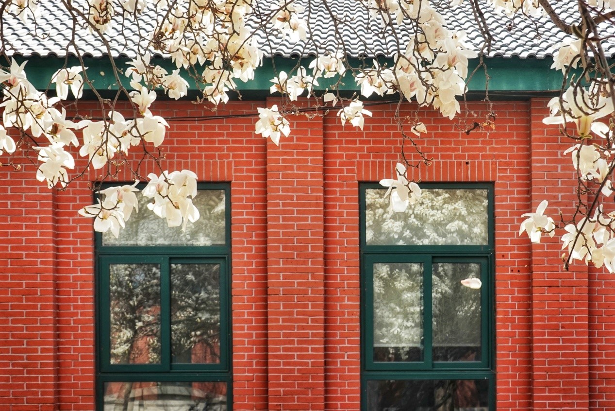 1625214721324005.jpg 6.jpg